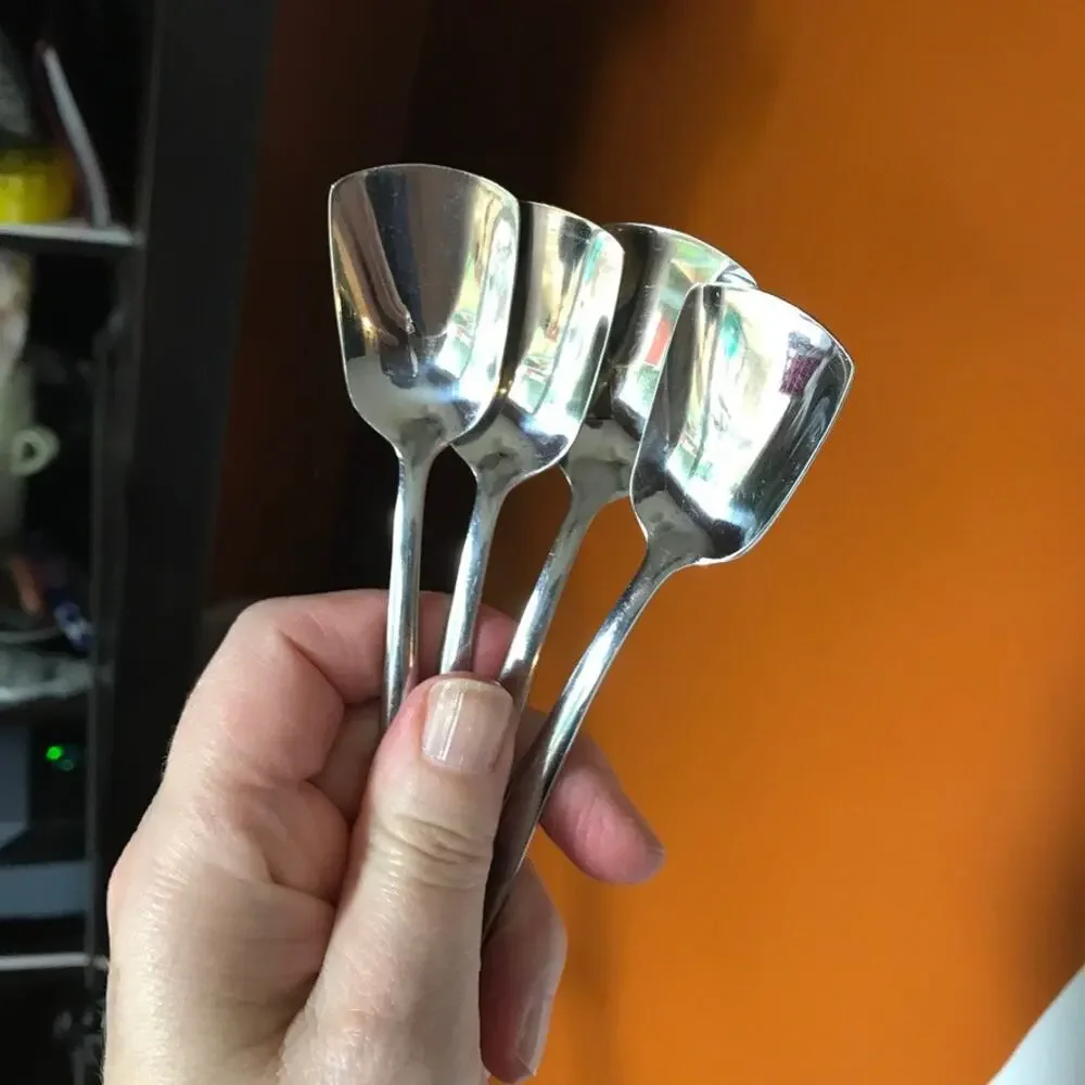 ENDURANCE set of 4 Stainless Steel Ice Cream Spades or Condiment/Sugar Spoons